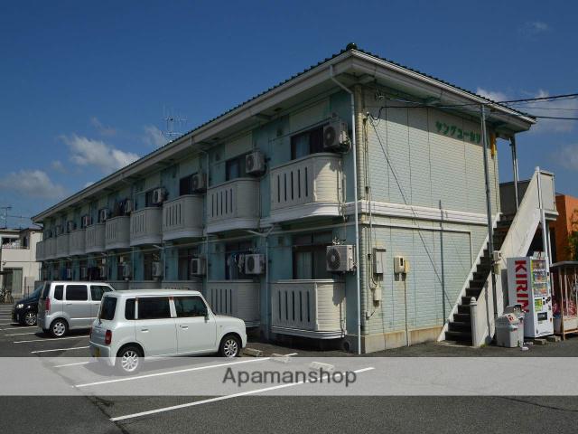 ヤングユーカリ