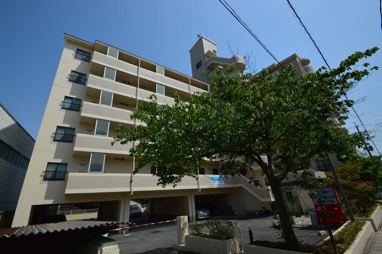 セントラルハイツ南側