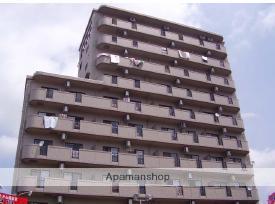 グラビスコート福本