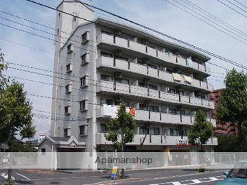 カトレアニシグチ