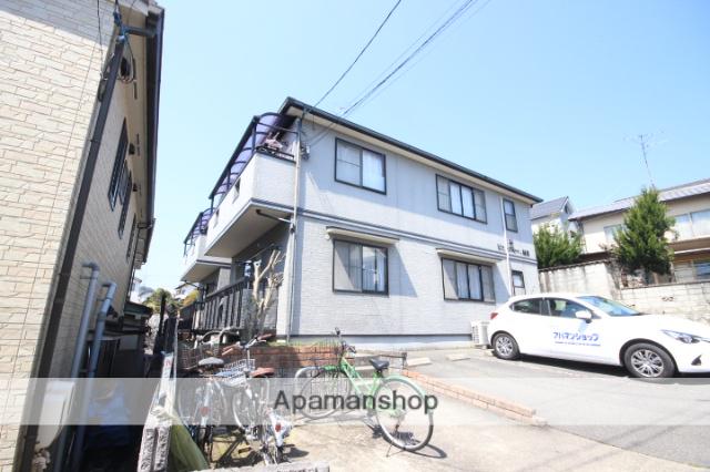 ビューパレー・MS