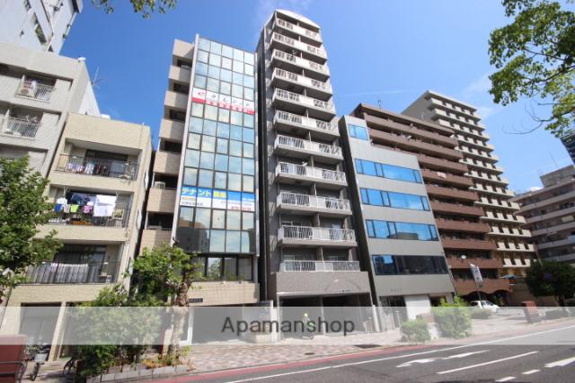 メゾン富士見町(1K/11階)