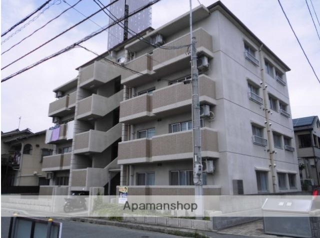 シャトンハウスY