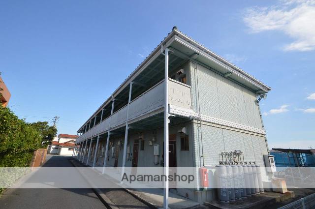 ヤングユーカリ