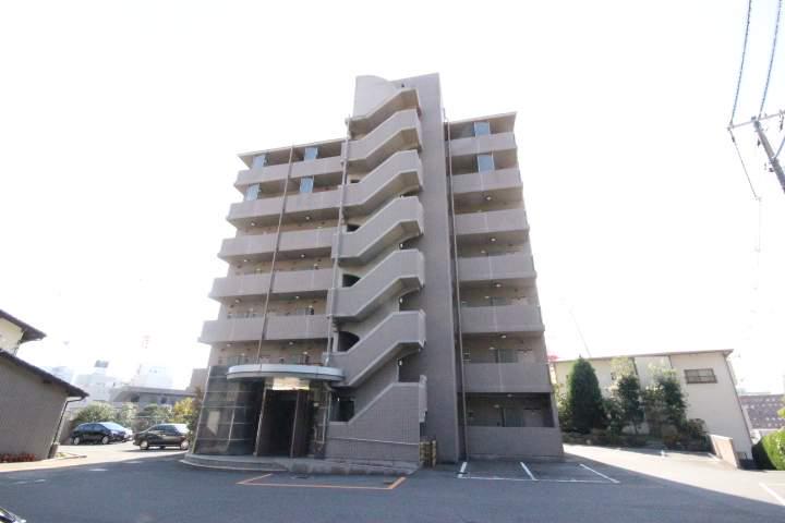 コートカメリア