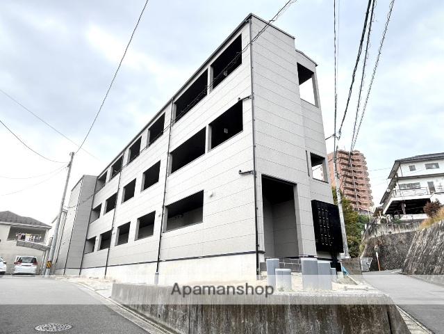 メイユールZAKI NO.12