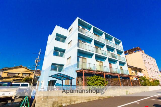 E.プリムローズ