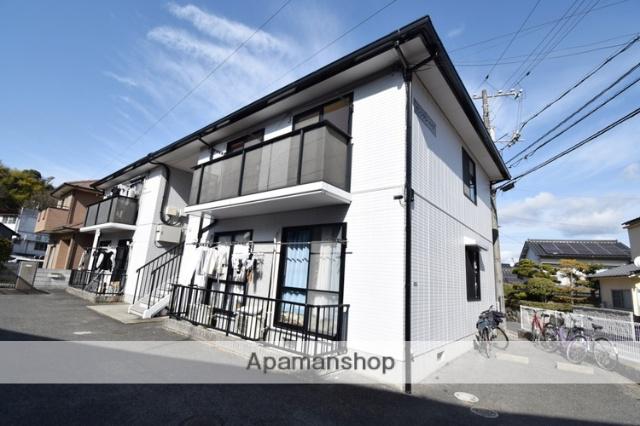 サンフラワー イイダ