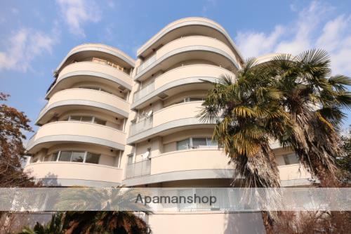 エコーヴィラ(3LDK/4階)