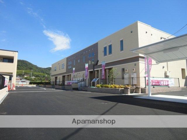 CHERRY BLOSSOM TOKIMUNE