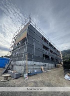 アマゾン・リリー