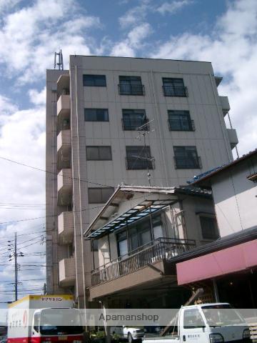 ヴィリジアンタワー