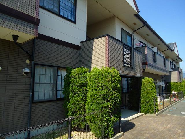 ジグフィールド