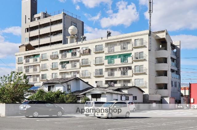 どりーむはいつ