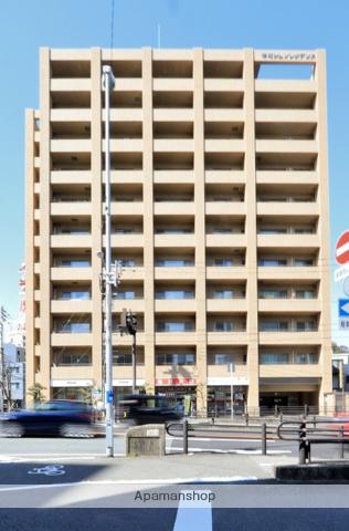 幸町シュンレジデンス(2LDK/10階)