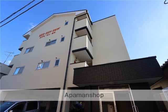 エグゼ・サン・ヨウ