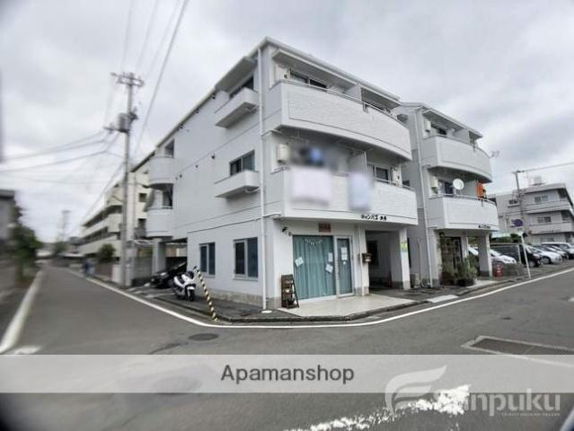 キャンパス中央