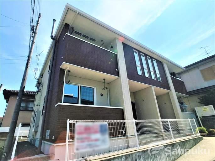 プリムローズ桜