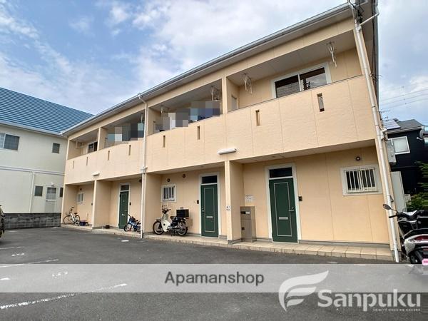 ＷＨＩＴＥ　ＡＮＧＥＬ