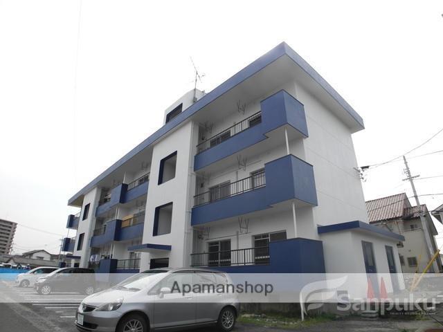 グレイス ハナミズキ