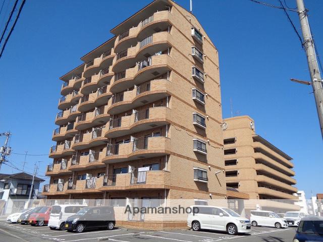 マルイブーゲンビリア