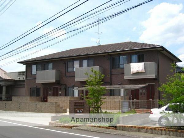 トレジャーシャイン