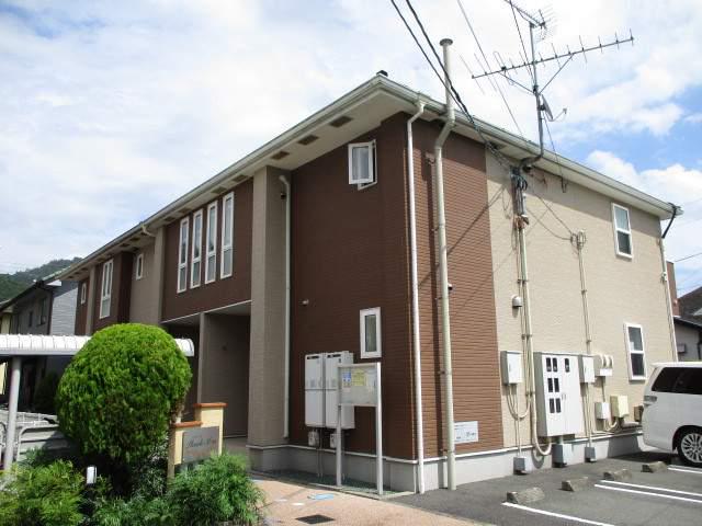 プラシードM・M