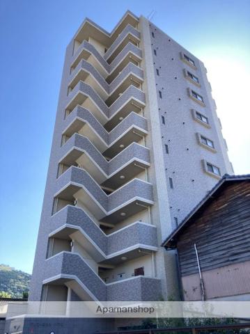 デルフィニウムイノウエ