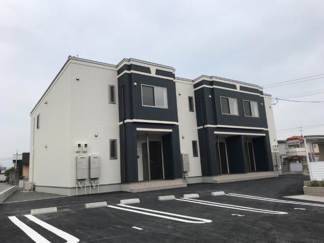 シダーフォレスト