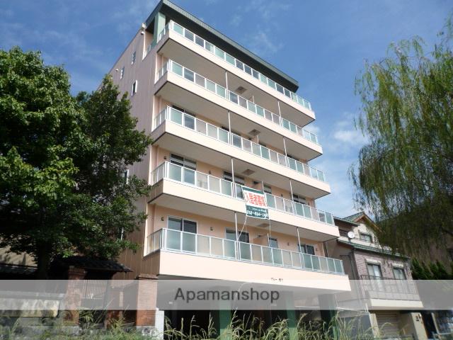 ヴュー鏡川(1LDK/2階)