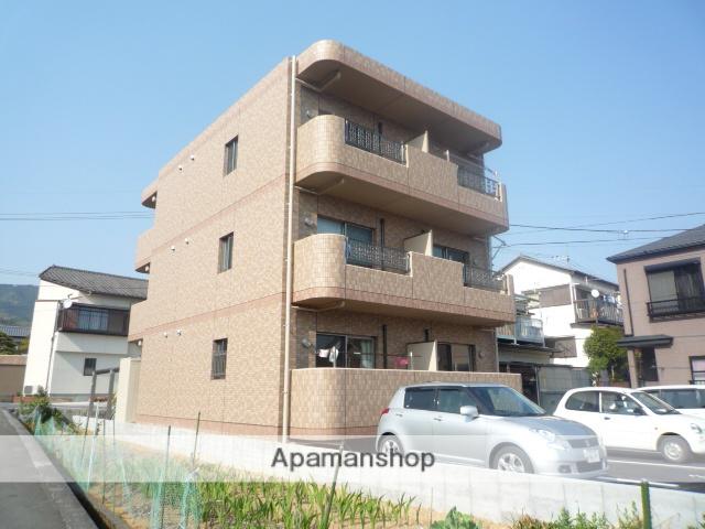 マリベールアネシス