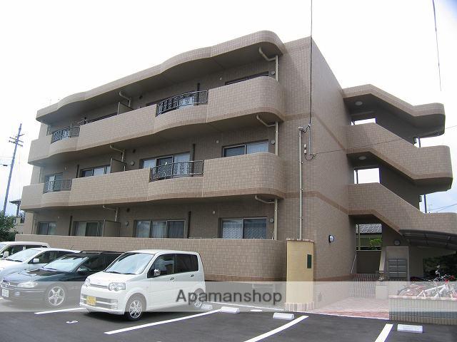 マリベールアドニス