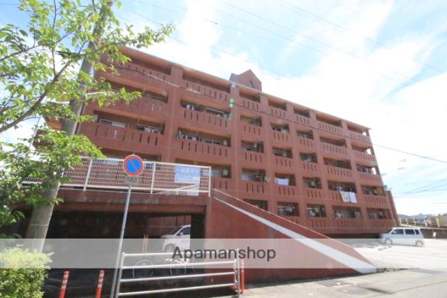 ロイヤルマンション(1K/1階)