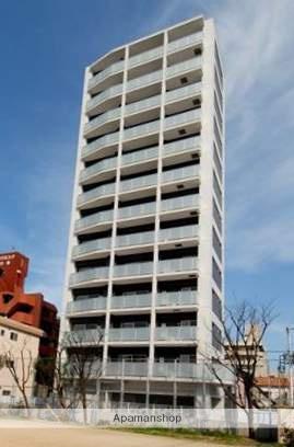 ナビールコート白金