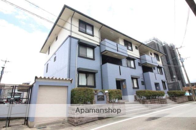 ハイカムールエル