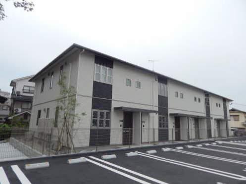 カームネス弥生