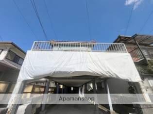 シュプールホダカ