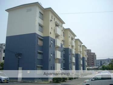 西鉄天神大牟田線 紫駅 徒歩9分  築53年(2K/1階)