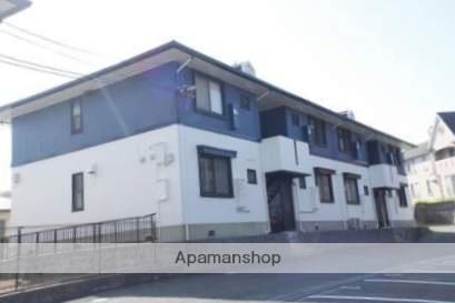 ハイカムールメイプル