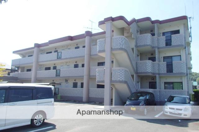 マイアネックス