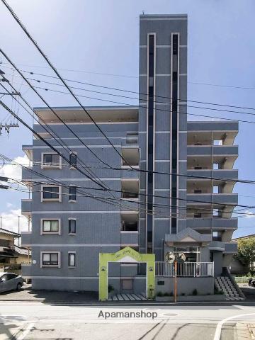 クリオコートイン89