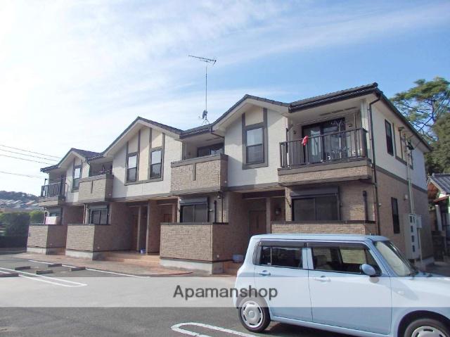 プリムローズ・ユー