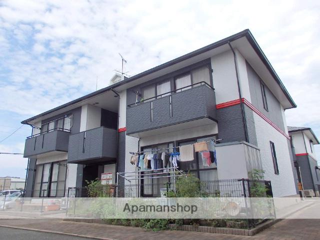 ハイカムールMORI