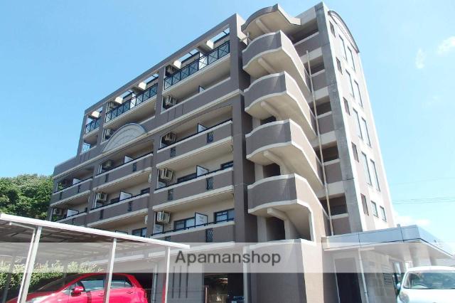 ウィンサム和白