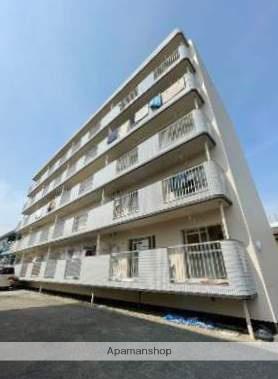 ミネルヴァ曰佐