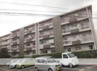 金子アベニュー400