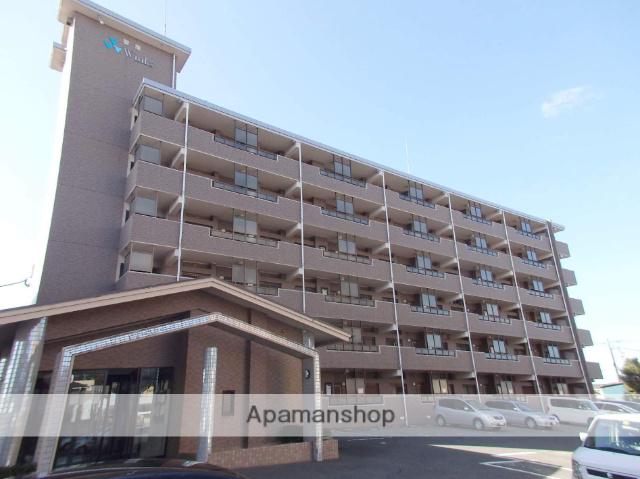 グレースコート