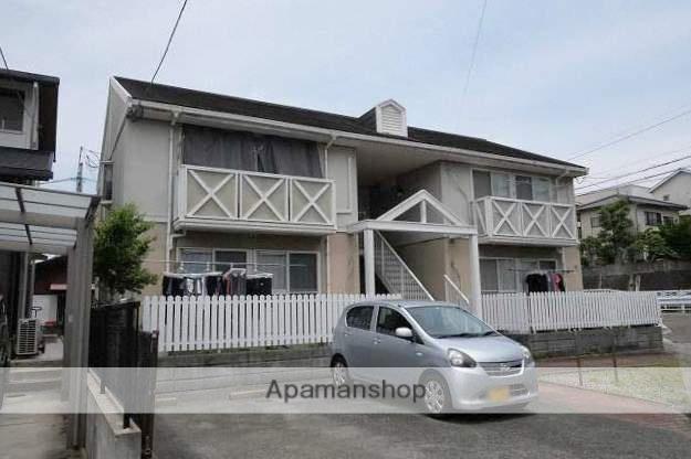 ステラコート24