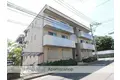 ルシオ高宮