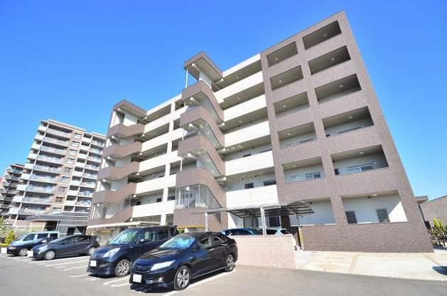 ルルス・ドール